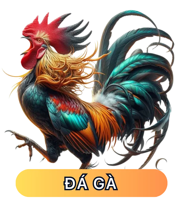 Đá Gà Luck88