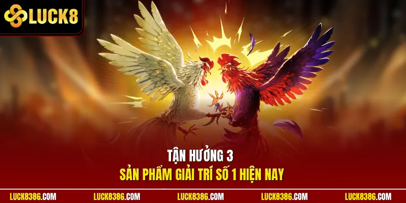 Tận hưởng 3 sản phẩm giải trí số 1 hiện nay